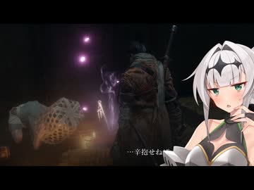 【SEKIRO】ｶﾞﾀｶﾞﾀｶﾞﾀｶﾞﾀｶﾞﾀｶﾞﾀｶﾞﾀｶﾞﾀｶﾞﾀｶﾞﾀ　#14【ソフトウェアトーク実況】