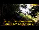 （妙に平穏続きのメインエリア）変態忍者の、有害鳥獣駆除従事活動記・その３７２