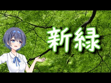 新緑を撮りに行こう