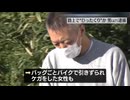 【住吉会】在日韓国人のヤクザを逮捕　路上でひったくり　柴田龍之介こと尹星王（ユンソンワン）容疑者