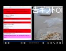 2026年5月17日のシャンタンタジフ③