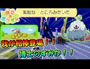 我が相棒エンペルト登場！！＆モジャンボ博士のすみか【ぽこあポケモン】