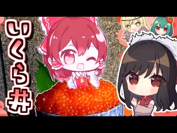 【大赤字】霊夢さんは超高級「すじこ」から「いくら丼」をつくってj自分のスカートにしたい！【料理】【ゆっくり実況】