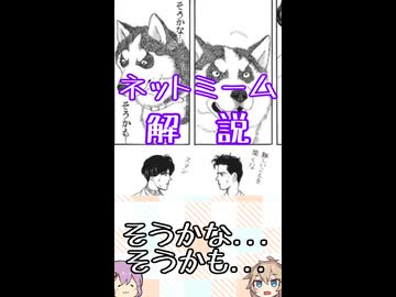 ゆかつむネットミーム解説【そうかな...そうかも...】