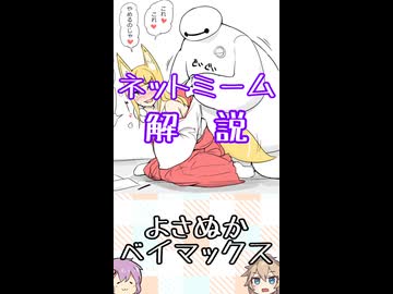 ゆかつむネットミーム解説【よさぬかベイマックス】