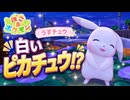 【ぽこあポケモン】白いピカチュウ？うすいろの「うすチュウ」が幸薄そうで可愛すぎる#18