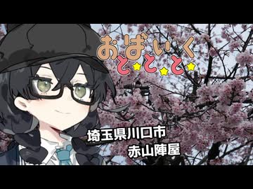 おばいくととと『#91　川口の桜と大きな陣屋』
