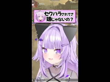 『ししろんから許可されて』歓喜するおかゆん 【ホロライブ切り抜き/ホロライブ/猫又おかゆ/獅白ぼたん/鷹嶺ルイ 】