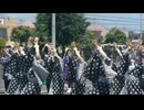 コラボ演舞　この地へ　ピオニウォークよさこい2026
