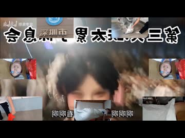 波紋李鱼