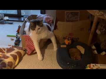 やる気しかない漢