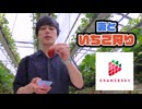 茨城で妻といちご狩り #2 【入会継続ブロンズ】