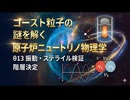 「ゴースト粒子」の謎を解く──原子炉ニュートリノ物理学：θ₁₃振動・ステライル検証・階層決定