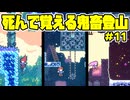 【ショタボ実況】標高ゼロから、上へ【Celeste】#11
