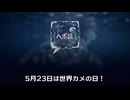 5月23日は「世界カメの日」！ゆっくりだけじゃない、カメが直面する現実とは？