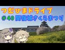【車載動画】つむひまドライブ#40　関宿城さくらまつり【VOICEVOX】