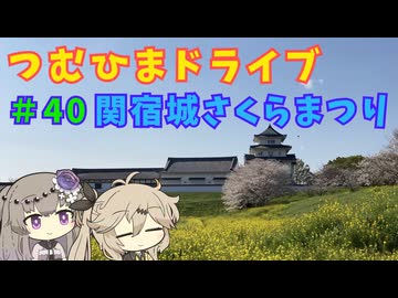 【車載動画】つむひまドライブ#40　関宿城さくらまつり【VOICEVOX】