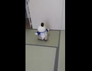 さぬきが太極拳したぞー！