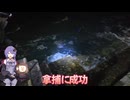 【VOICEROIDフィッシング・ササイカエギング】ササイカリベンジで思わぬ大物大漁