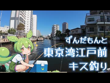 【ずんだもん実況】東京湾でキス釣りしてきたのだ！