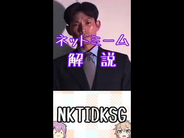 ゆかつむネットミーム淫夢ネタ解説【NKTIDKSG】