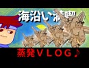 【函館西の海沿いVLOG】橋に風車に大忙し！？ガードレールがかわいくてハンバーガーとの別れにセンチメンタルな旅の一日！！編。【バーチャルいいゲーマー】