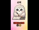 10%と8%の罠！消費税計算でpukutetsuの目が回る