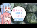 茜ちゃん、城魂！へ行く。２０２５　第３話【VOICEROID車載】