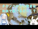 【一品もの】春の定番の山菜はやっぱり定番の食べ方で楽しみましょうか（タケノコごはん）【ゆっくり音声】