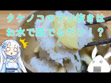 【一品もの】春の定番の山菜はやっぱり定番の食べ方で楽しみましょうか（タケノコごはん）【ゆっくり音声】