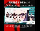 ﾈｺﾁｬｧﾝ
