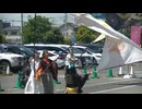 大旗・フラフ共演　二班(班全体)　ピオニウォークよさこい2026