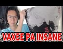 VAXEE PA INSANE布マウスパッド開封動画と実際に使ってみた手元付き