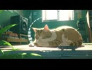 Lo-Fi BGM｜The Moon Drenched in Tears｜涙に染まる月