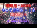 【睡眠用】  九州そら（ささやき）  ” キャラコさん・１６（  蘆と木笛・二  ） ” （ 作・久生十蘭 ）  【ASMR】