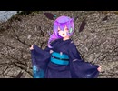九州そら千本桜(もち子さんｃｖ明日葉よもぎ氏もいます)