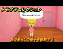 トモダチコレクション　島の暮らしの様子を観察する　島の住人観察日記（ポケモン編）　＃６５５　【トモコレわくわく生活】