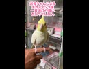 【家庭内妨害工作】普段お世話をしないお父ちゃんが消灯時間を邪魔しに来た結果
