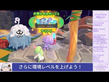 【7:38:39】ぽこ あ ポケモン　～時間変更禁止RTA～　No.010