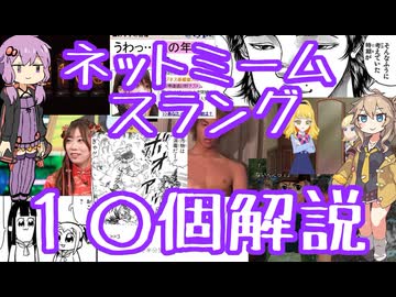 今さら人に聞けないネットのネタ解説その52【結月ゆかり×春日部つむぎ】