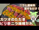 【簡単和えるだけ！】ピリ辛ニラ味噌ダレを作ってカツオのたたきを食べたよ【今日のおつまみ】
