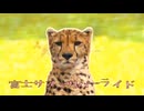 富士サファリバーライド