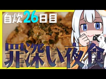 【微ASMR】罪深い夜食 自作タレ豚こま丼【不健康な夜食投稿祭】自炊26日目