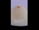 Stellar Stellar / 星街すいせい (acapella cover)