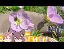 2026晩春の庭散歩[美燐空間40 Season4-2]