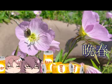 2026晩春の庭散歩[美燐空間40 Season4-2]
