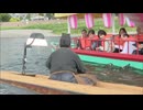 アユ漁が解禁、筑後川で伝統漁法「鵜飼」始まる　福岡