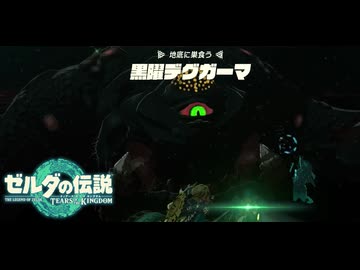 【ゼルダの伝説 ティアーズ オブ ザ キングダム】女神の剣は王国と共に泣く#66