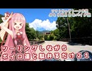【ソフトウェアトーク車載 ぶらり気ままなバイク旅】ツーリングしながらボイロ達と駄弁るだけ２１