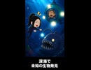 【トモコレわくわく生活】Miiニュース「深海で未知の生物発見！？」聖徳太子